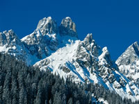 Bischofsm&uuml;tze Filzmoos